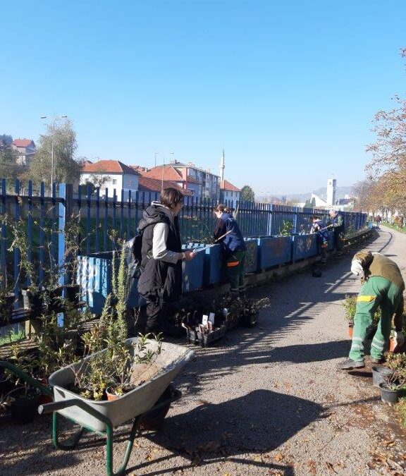 U Tuzli počelo uređenje žardinijera i sadnja ukrasnog bilja