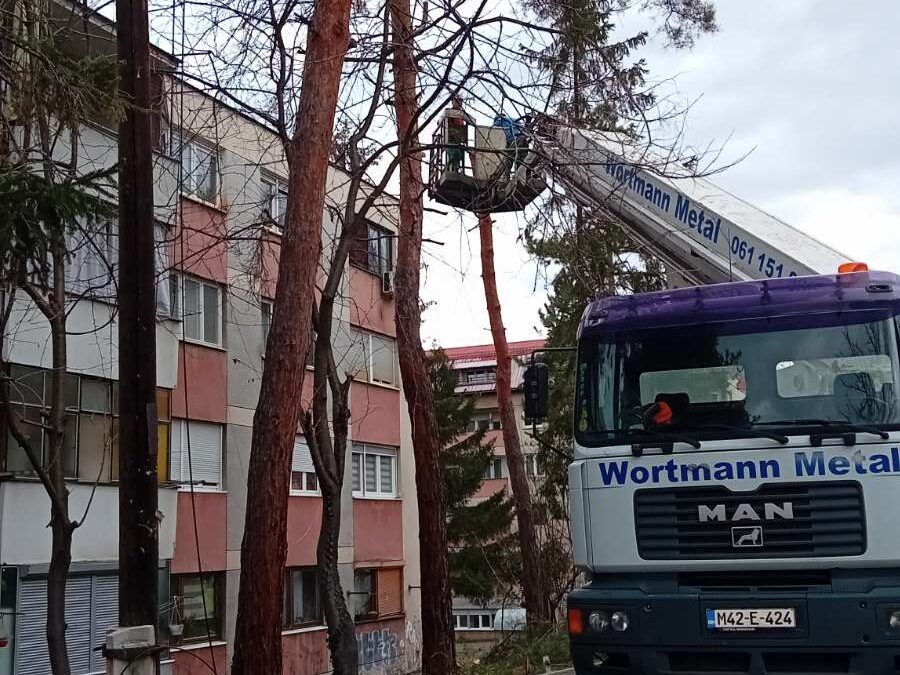 Nastavak aktivnosti na uklanjanju starih i dotrajalih stabala i planiranje sadnje novih zasada
