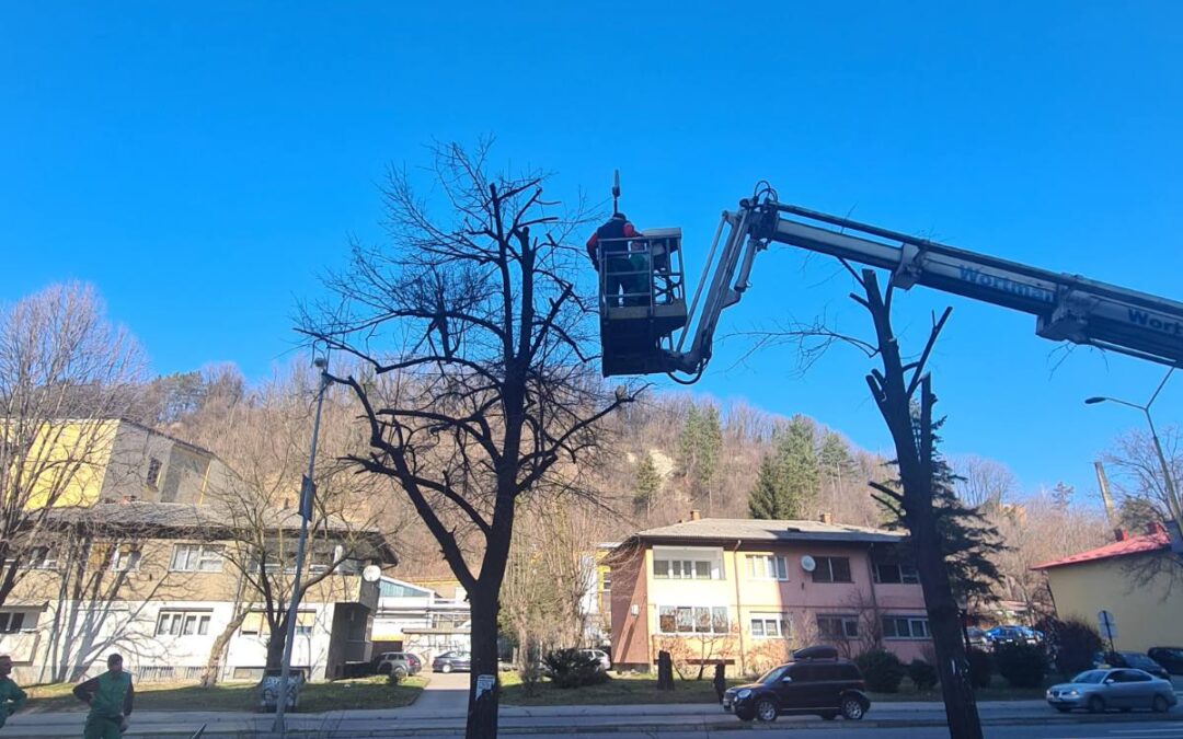 Intenzivno se provode aktivnosti održavanja zelenih površina i orezivanja drveća