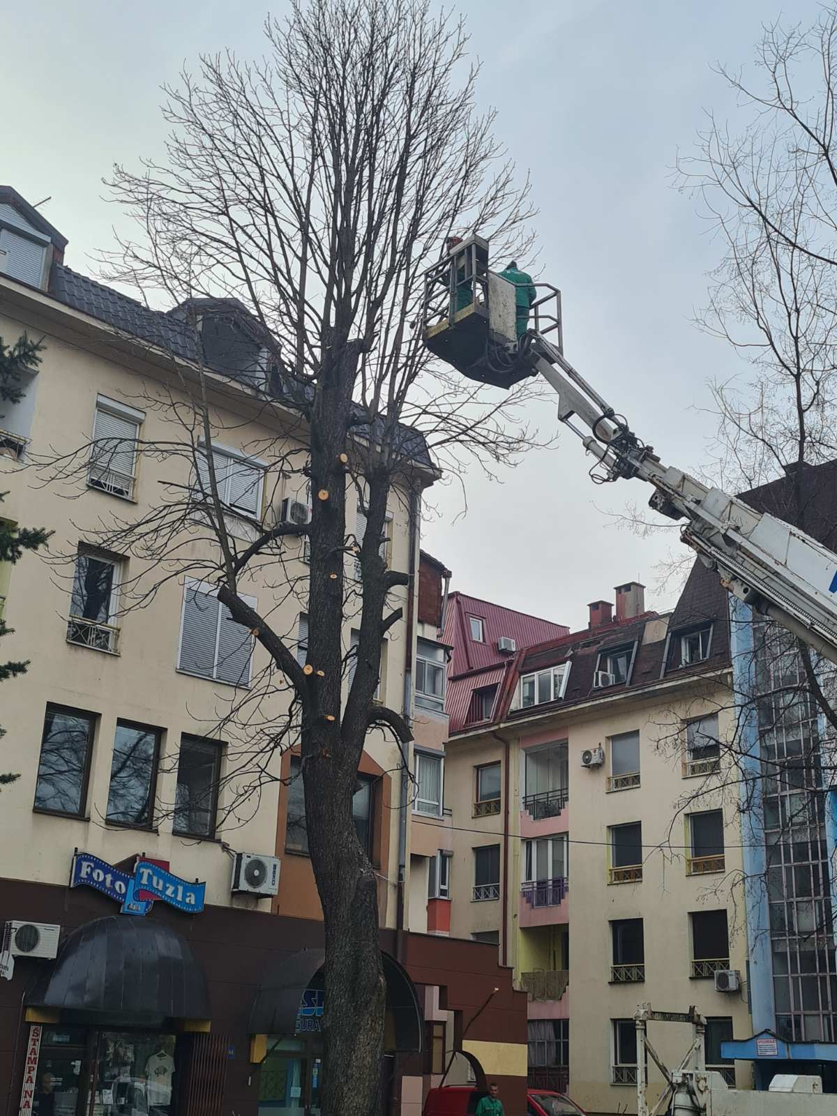 Orezivanje drveća Turalibegova