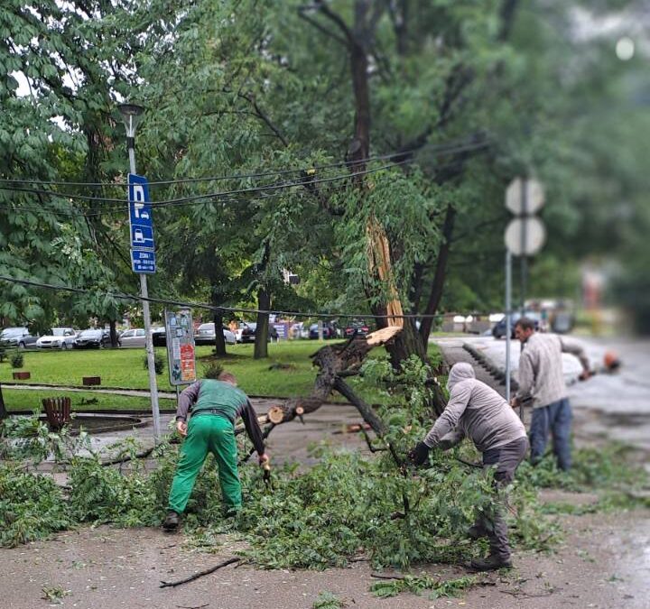 Brza reakcija Službe za komunalne poslove nakon nevremena