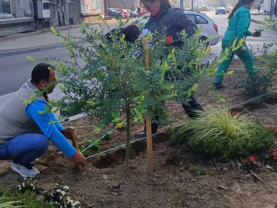 U toku radovi na jesenjem uređenju u Tuzli