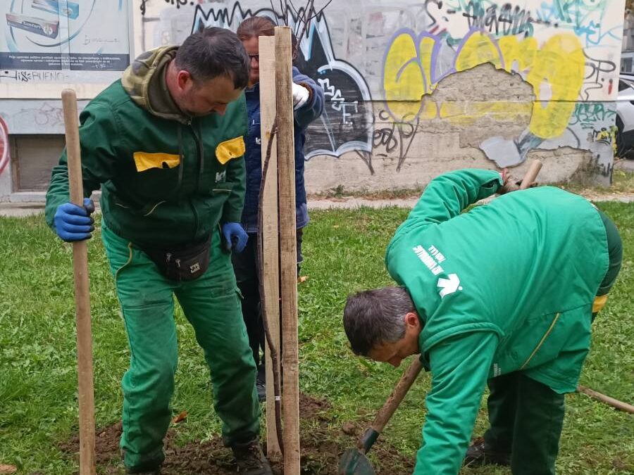 Grad Tuzla nastavlja sa sadnjom drveća u sklopu jesenjeg uređenja grada