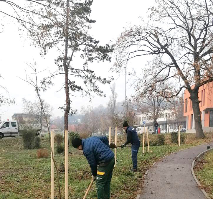 U Tuzli organizovana akcija sadnje 100 sadnica u okviru projekta „Drvo prijateljstva“