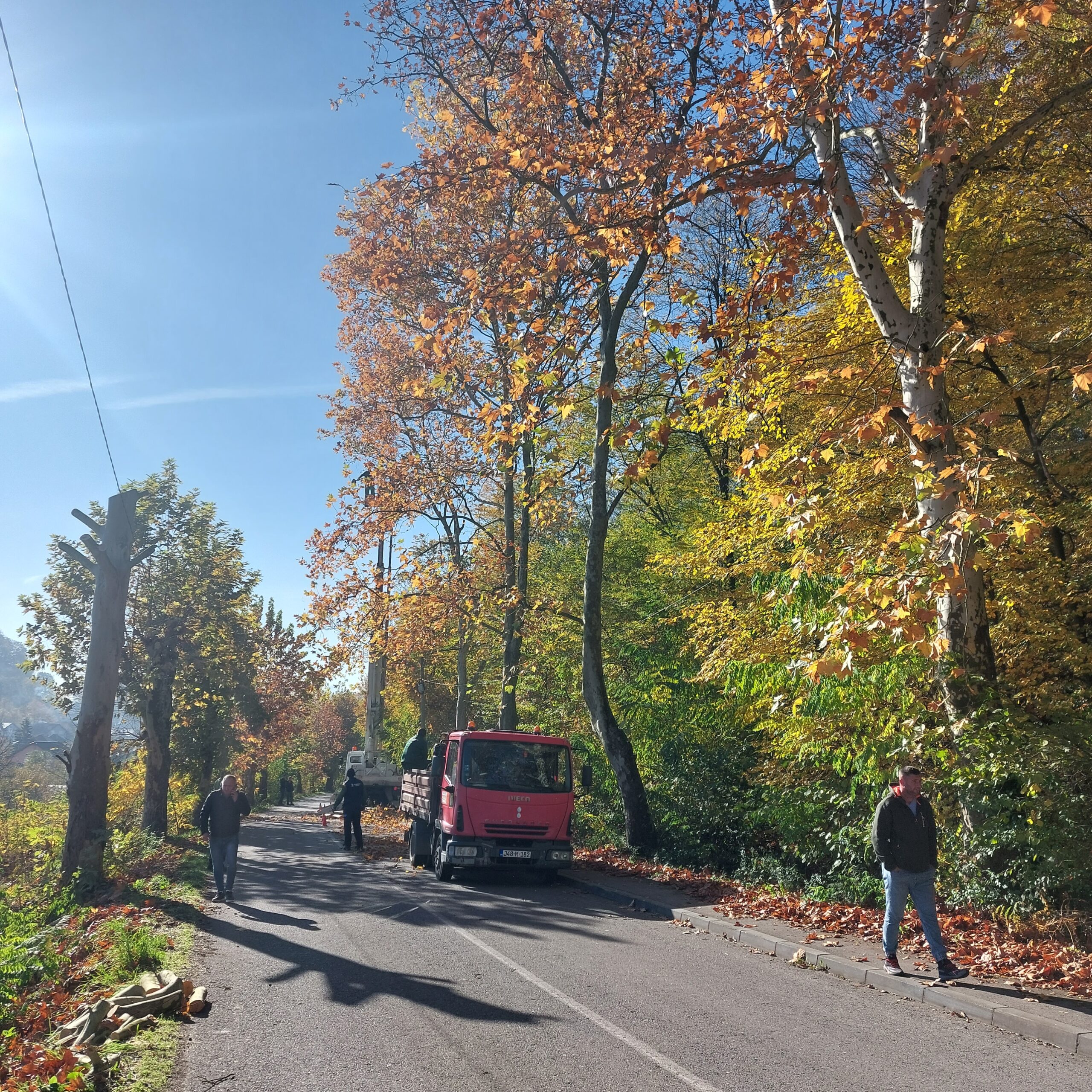 U toku jesenje orezivanje drveća i uređenje drvoreda u Tuzli